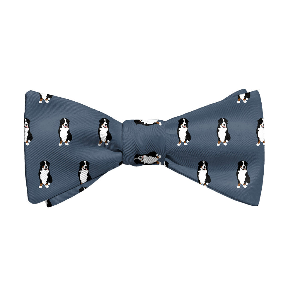 Bernese_Mountain_Dog_1_Self_Tie_Main_cd8d712a-70b9-42e5-9d2c-3acd4237d348