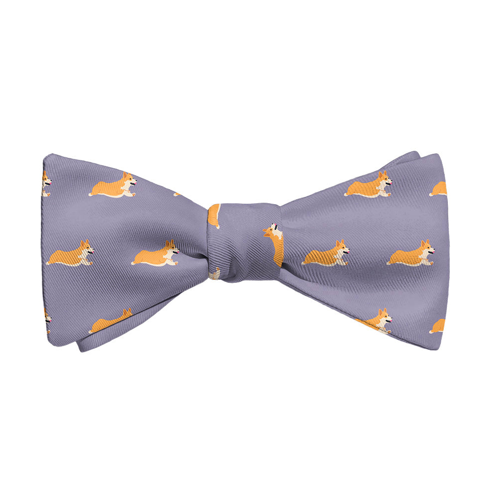 Corgi_1_Self_Tie_Main_4686584e-afe0-424e-bff0-77b64bd5463b