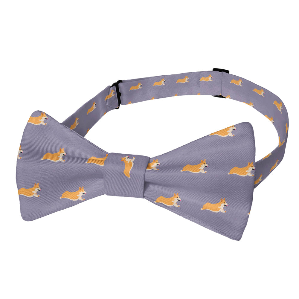 Corgi_3_Pretied_Strap_6b3f2212-4af0-4921-99c8-89cb3fd59afb