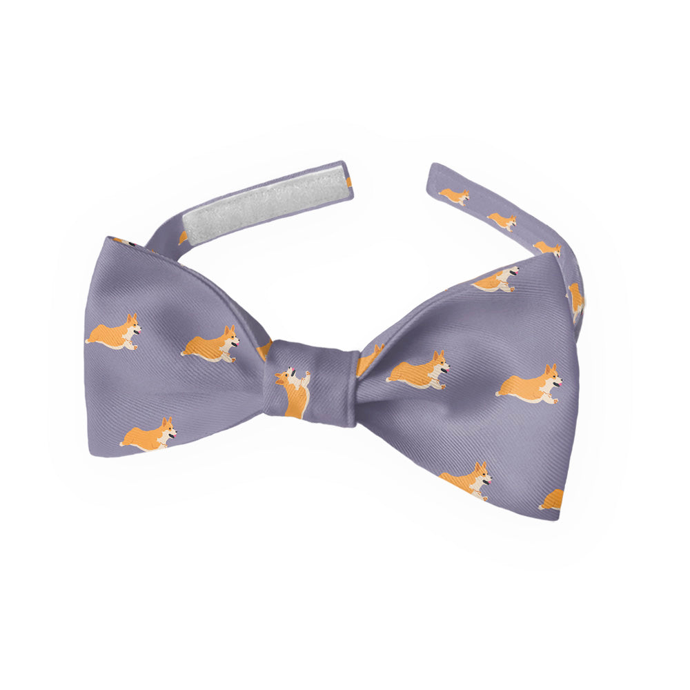 Corgi_4_Kids_Bow_Tie_8b223d90-07ff-4101-8327-ab16da83f4c4