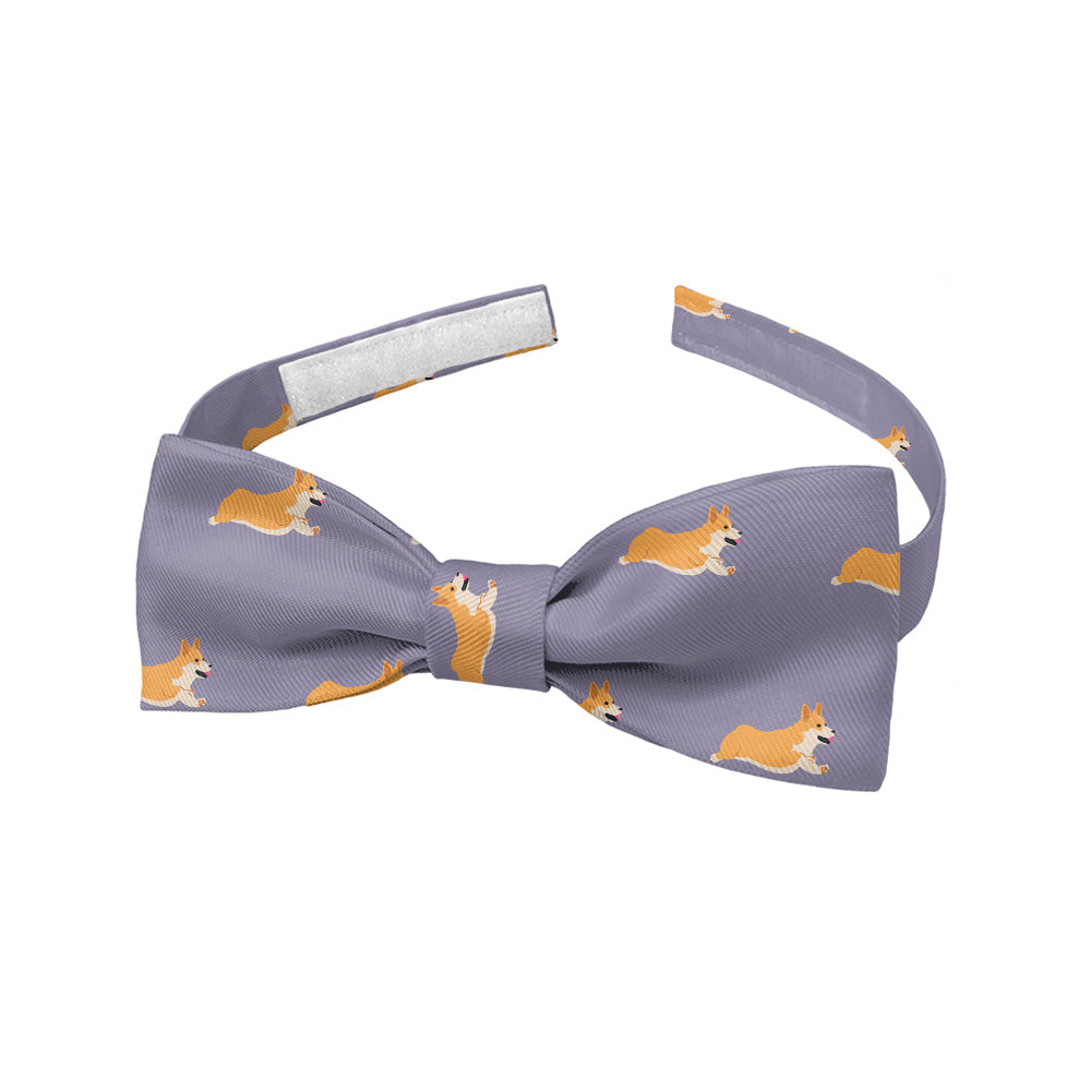 Corgi_5_Baby_Bow_Tie_1993e33a-69e1-4ac6-9bcd-f4447763bb95