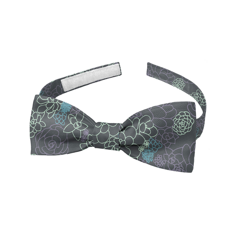Succulent_Cactus_Garden_5_Baby_Bow_Tie_aae9a19f-6727-4c47-aa43-8e840e906f7a